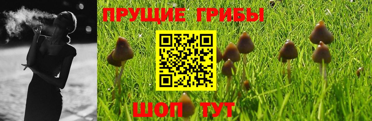 Галлюциногенные грибы Psilocybine cubensis  Вход с VPN  Новоуральск 